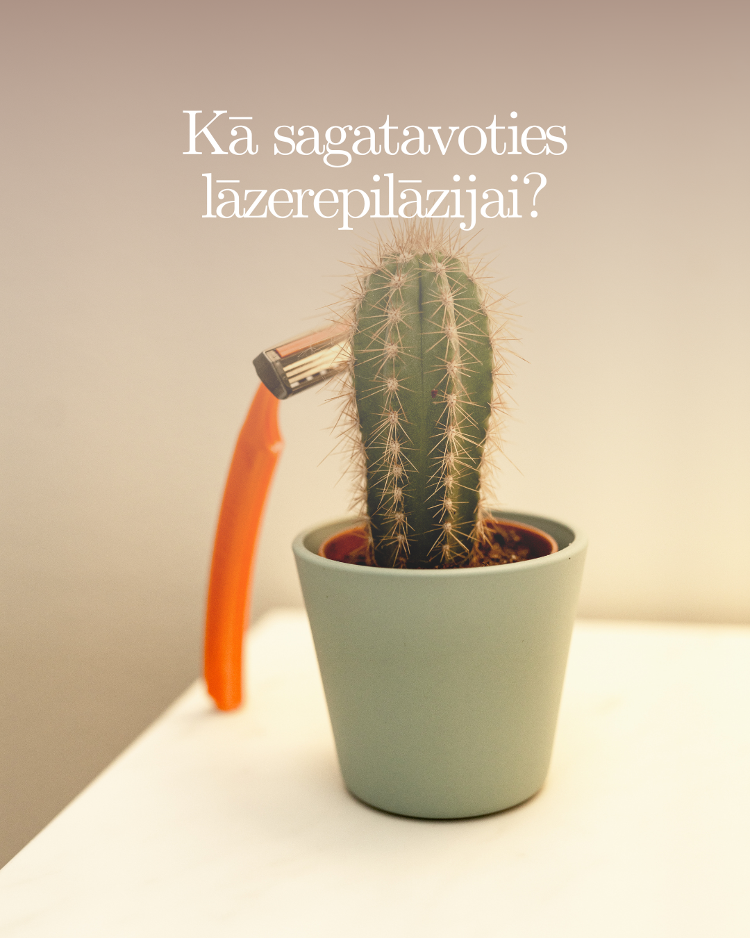 Kolonna 1